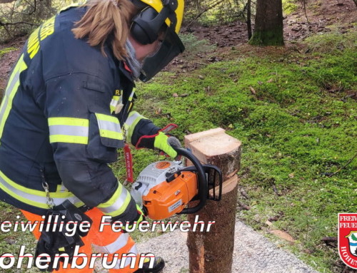 Interne Auffrischungsübung im Umgang mit Kettensägen