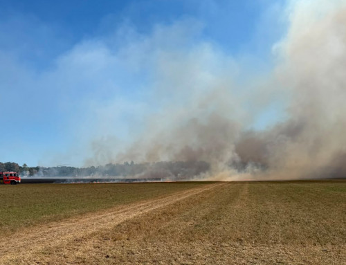 60.000m² Feldbrand bei Harthauser Weg